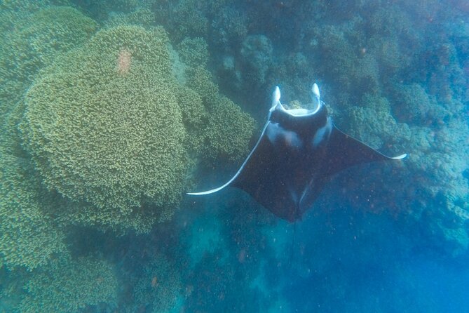 Half a day to discover Bora Bora with O-sea - Where the Lagoon Meets the Open Ocean