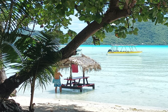 Half a day to discover Bora Bora with O-sea - What Is Included for $140