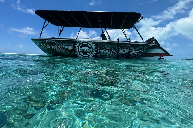 Half day Eco Snorkeling small group Tour in Bora Bora - A morning on Bora Bora’s lagoon