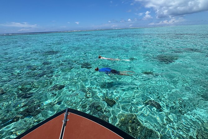 Half day Eco Snorkeling small group Tour in Bora Bora - What the guides add to the experience