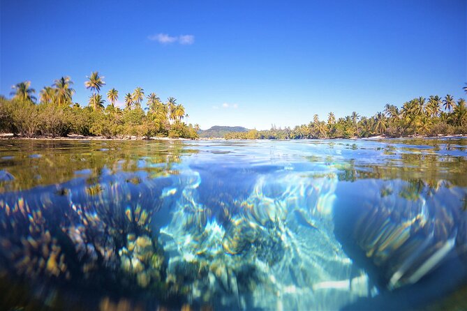 Half day excursion Tahaa - departure Raiatea / ideal cruise line - Who should book this Tahaa excursion
