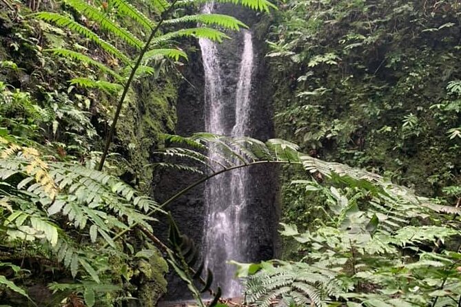 Half-Day Guided Hike to Afareaitu Waterfall - What makes this Moorea hike worth your morning