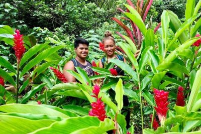 Half-Day Guided Hike to Afareaitu Waterfall