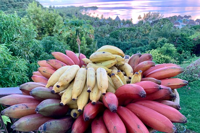 Half-Day Guided Hike to Afareaitu Waterfall - What the price includes at $97.17