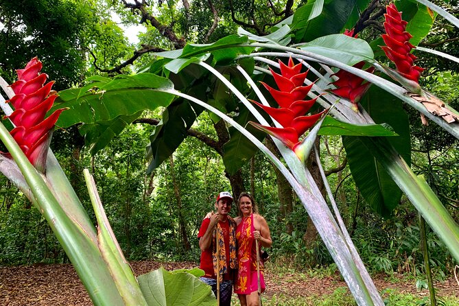 Half-Day Guided Hike to Afareaitu Waterfall - The cultural value of a guided walk