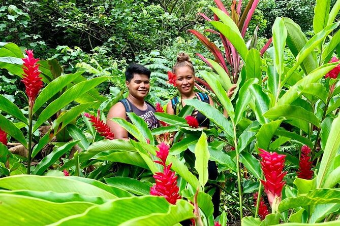 Half-Day Guided Hike to Afareaitu Waterfall - The trail to Afareaitu Waterfall