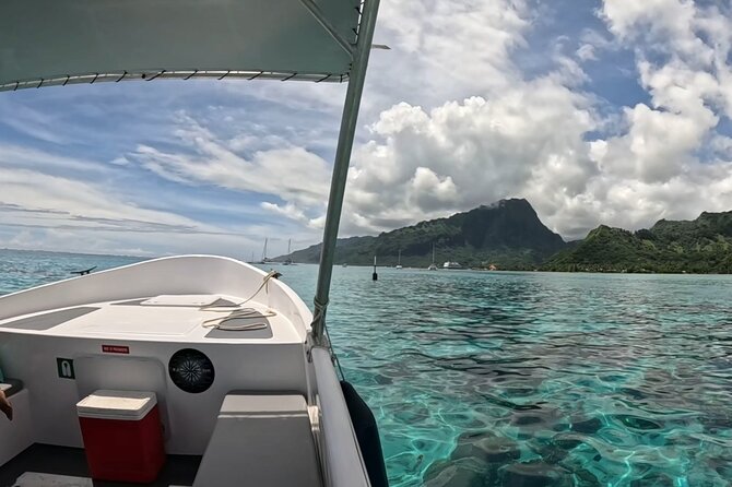 Half-Day Humpback Whales Encounter in Moorea - Searching Moorea’s coast for humpbacks