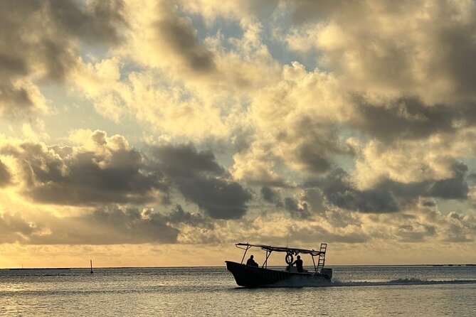 Half-Day Humpback Whales Encounter in Moorea - Group size, timing, and the value of $236.85