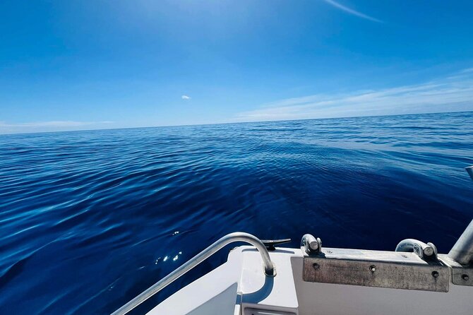 Half-Day Humpback Whales Encounter in Moorea - Who will enjoy this most?