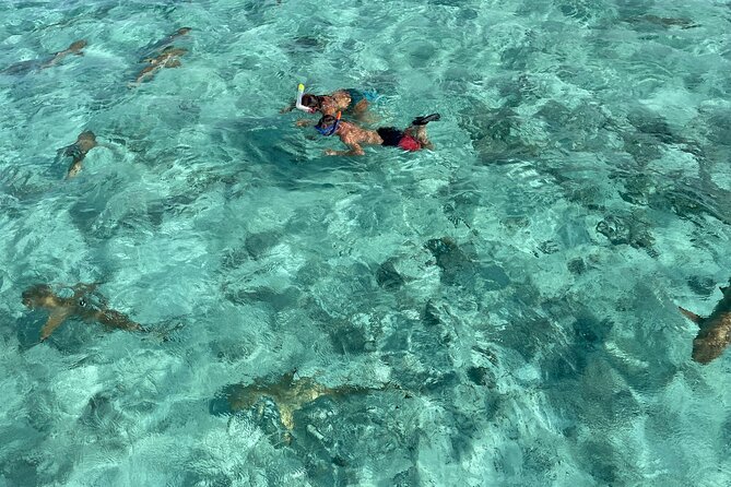 Half day lagoon safari tour in Bora Bora- Shared tour - What makes this Bora Bora lagoon trip worth your half-day