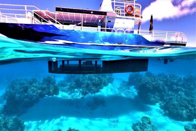 Half day lagoon safari tour in Bora Bora- Shared tour - Practical details that affect your day