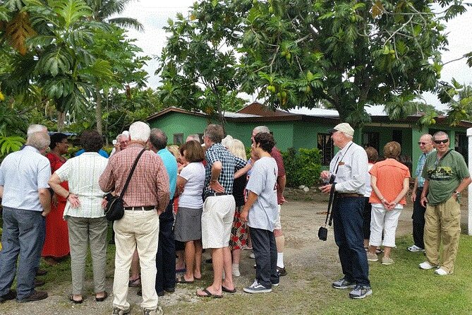 Half Day Mudpools, Veseisei Fijian Village, Gardens of Sleeping Giants &Shopping - A compact introduction to Fiji beyond Denarau