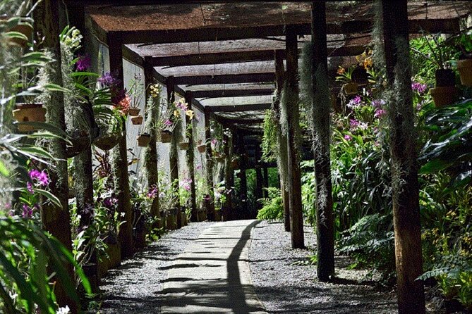 Half Day Mudpools, Veseisei Fijian Village, Gardens of Sleeping Giants &Shopping - Sabeto Hot Springs and the famous mud pools