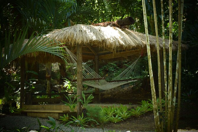 Half Day Mudpools, Veseisei Fijian Village, Gardens of Sleeping Giants &Shopping - Who will enjoy this Fiji half-day tour