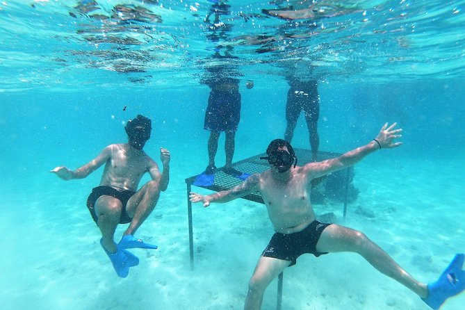 Half-Day Muri Lagoon BBQ Lunch Cruise including Snorkeling - Key points at a glance