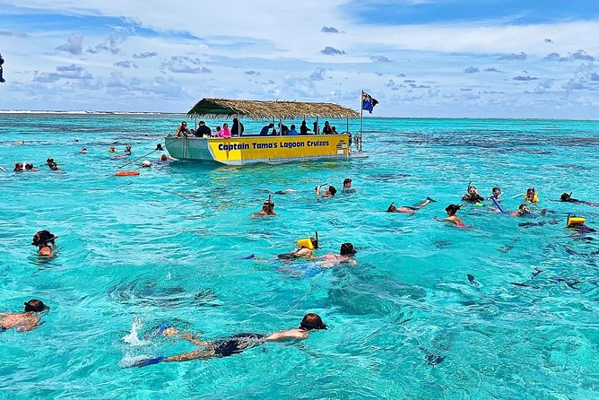 Half-Day Muri Lagoon BBQ Lunch Cruise including Snorkeling - What the glass-bottom boat adds