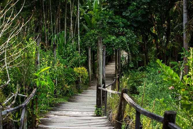 Half Day Nadi Tour incls Sri Siva Temple, Orchid Gardens,Local Village & Markets - Meeting Fiji’s first settlers at Viseisei Village