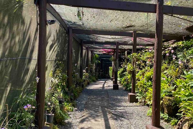 Half Day Nadi Tour Temple, Market, Gardens and Mud Pools - A half-day route that covers more than beaches