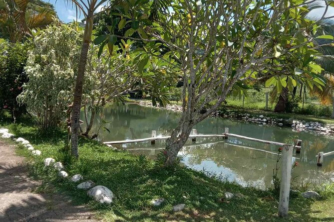 Half Day Nadi Tour Temple, Market, Gardens and Mud Pools - Garden of the Sleeping Giant: orchids with time to wander