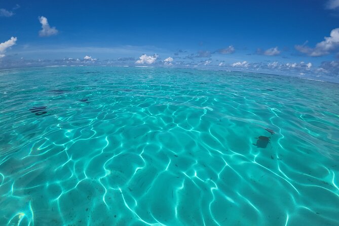 Half Day Private Boat Snorkeling Excursion Moorea - Why this private Moorea boat trip works so well