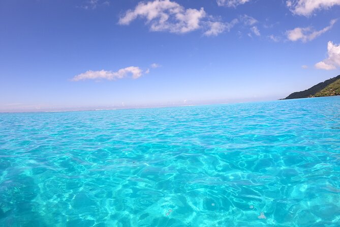 Half Day Private Boat Snorkeling Excursion Moorea - Fruit, juice, and the missing lunch