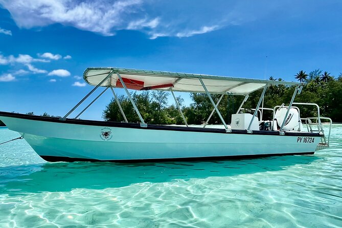 Half Day / Private Lagoon Adventure in Mo'orea - The shallow sandbar and its rays