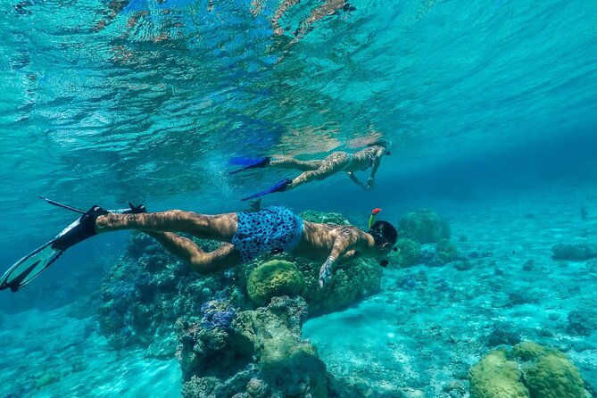 Half-Day Private Luxury Tour from Bora Bora - Stop two: a coral garden full of tropical fish