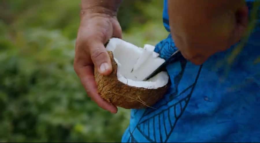 Half day Private tour of Moorea Safari Albert Pick up hotel - Belvedere Lookout and Magic Mountain views