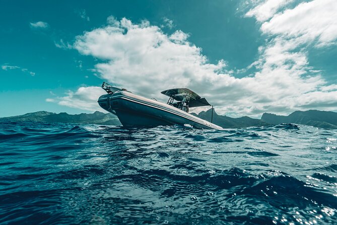 Half Day Private Whale Watching in Moorea - What the four-hour outing can include