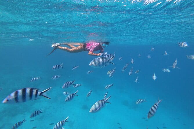 Half-Day Sailing Trip on the Lagoon of Tahiti Comments - What to pack for the half-day