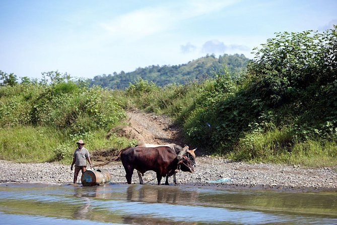 Half Day Sigatoka River Jetboat & Village Tour with Lunch & Transfers - A Fijian lunch with local ingredients