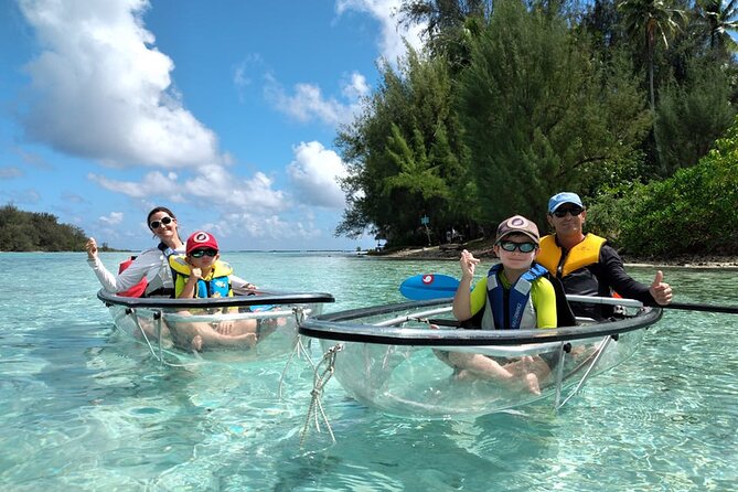 Half Day Small Group Whale Watching - Fruit, drinks, and equipment included