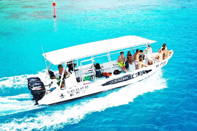 Half Day Snorkeling in Moorea - What makes this Moorea snorkeling trip worth your time