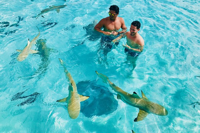 Half Day Snorkeling in Moorea - Setting out from Moorea’s eastern coast