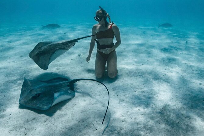 Half Day Snorkeling in Moorea - Why the small group changes the experience