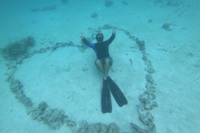 Half-Day Snorkeling Tour in Tahiti - Weather, cancellations, and the boat’s physical limits