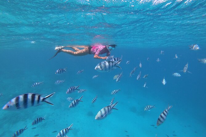 Half-Day Snorkeling Tour in Tahiti - Who will enjoy this half-day outing?