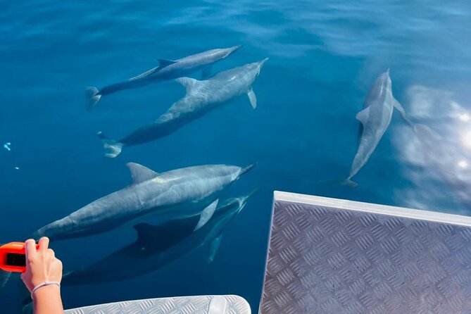 Half day Tahiti Peninsula and Teahupoo boat tour (shared boat) - River swimming and a white sand bar