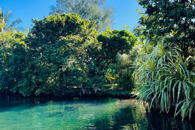 Half day Tahiti Peninsula and Teahupoo boat tour (shared boat) - Weather, cancellation, and practical planning