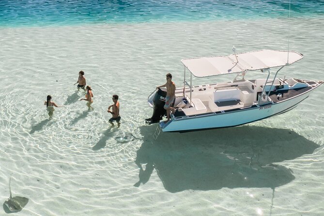 Half Day Tour lagoon discovery marine fauna flora small group - What the six-person limit is worth