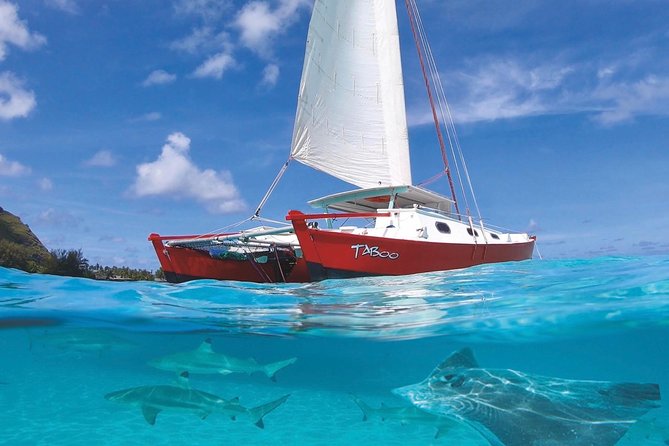 Half Day Tour : Moorea Snorkeling & Sailing on a Catamaran named Taboo - Key points at a glance