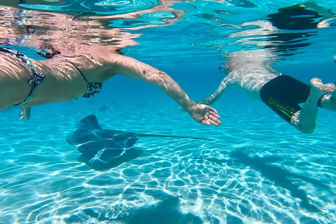 Half Day Tour : Moorea Snorkeling & Sailing on a Catamaran named Taboo - What you may see below the surface