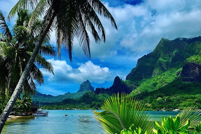Half-Day Tour of Moorea Island in a Small Group - Key points to know before you book