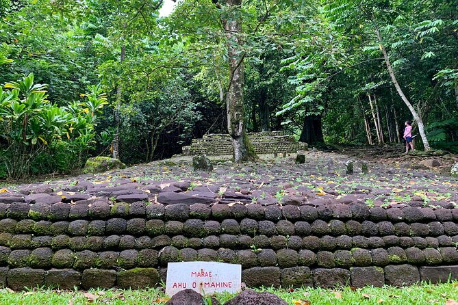 Half-Day Tour of Moorea Island in a Small Group - Moorea in half a day