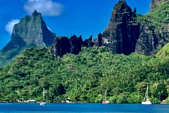 Half-Day Tour of Moorea Island in a Small Group - Cook’s Bay, with room for flexible stops