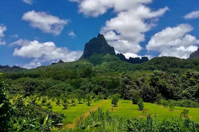 Half-Day Tour of Moorea Island in a Small Group - Ōpūnohu Bay and the quieter side of Moorea