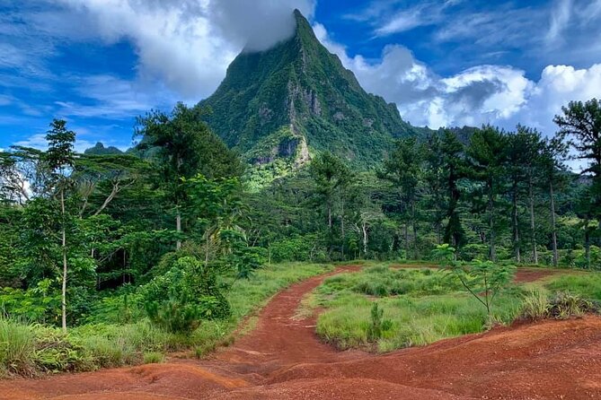 Half-Day Tour of Moorea Island in a Small Group - Belvedere Lookout and Moorea’s mountain stories