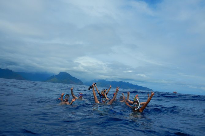 Half day whale tour 4h00 - What guides Kevin, Mahai, Michele, and Ari add