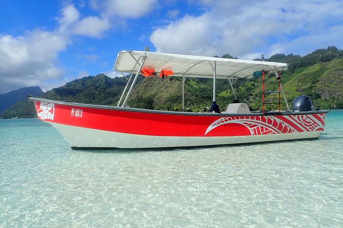 Half day whale tour 4h00 - The lagoon finish adds a useful second act