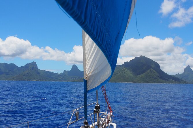 Half day whale watching - Without launch - What makes the Mori Ora outing different